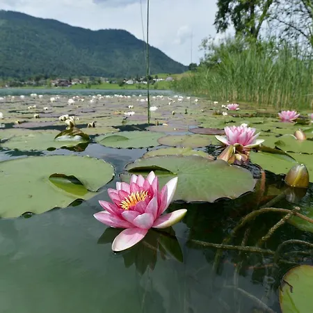 Ticklhof Am See Thiersee