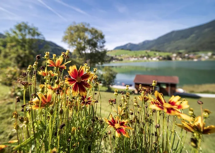 Ticklhof Am 3* تيرسي