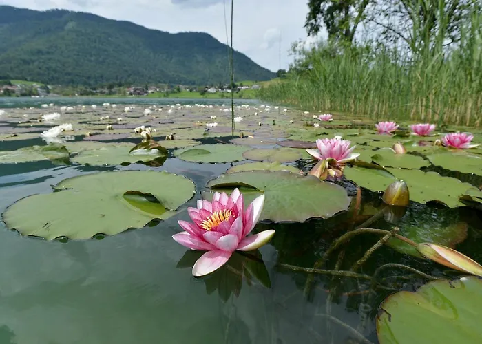 Ticklhof Am تيرسي